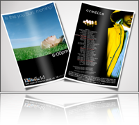 blocks_image